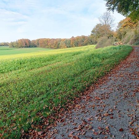 Haus Im Grunen Villa Billerbeck Luaran gambar