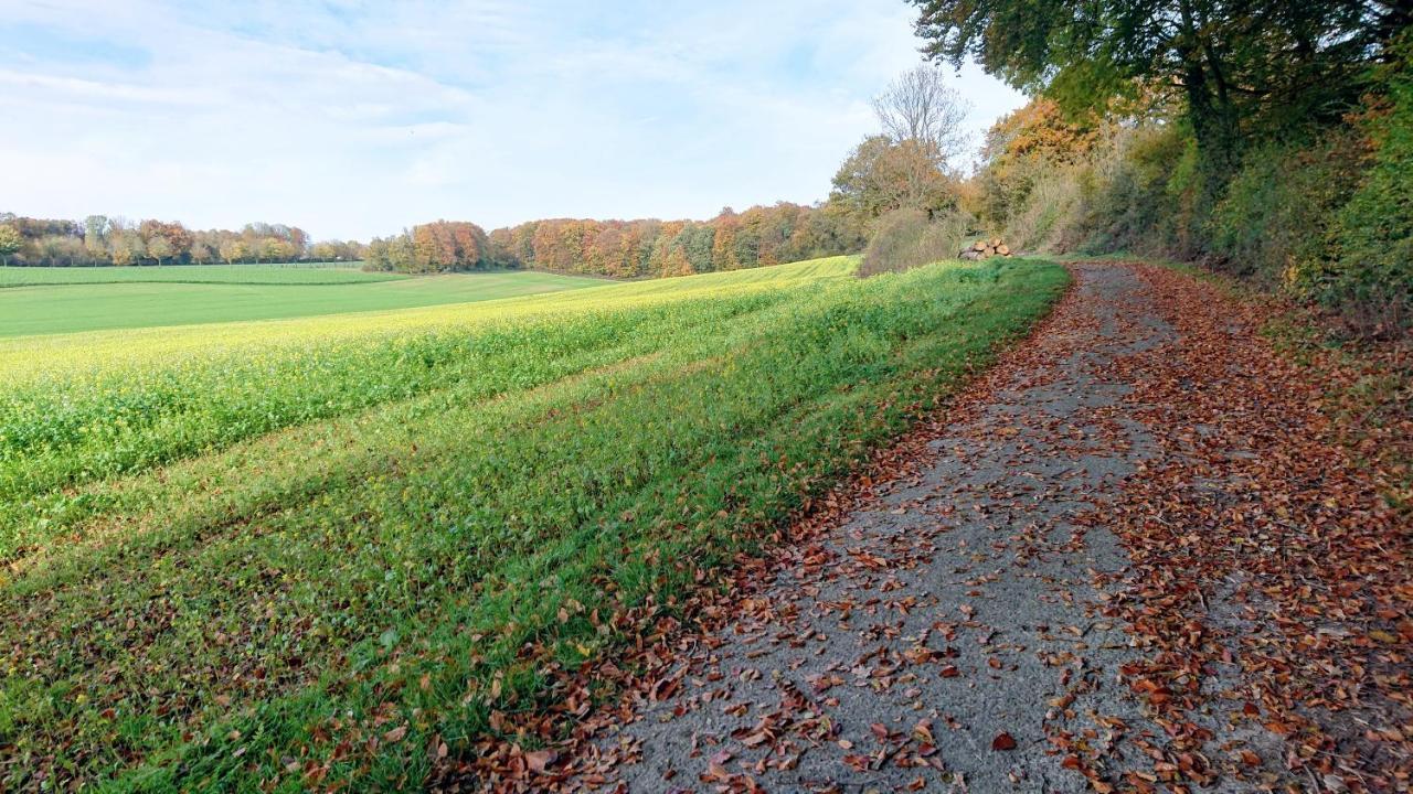 Haus Im Grunen Villa Billerbeck Luaran gambar