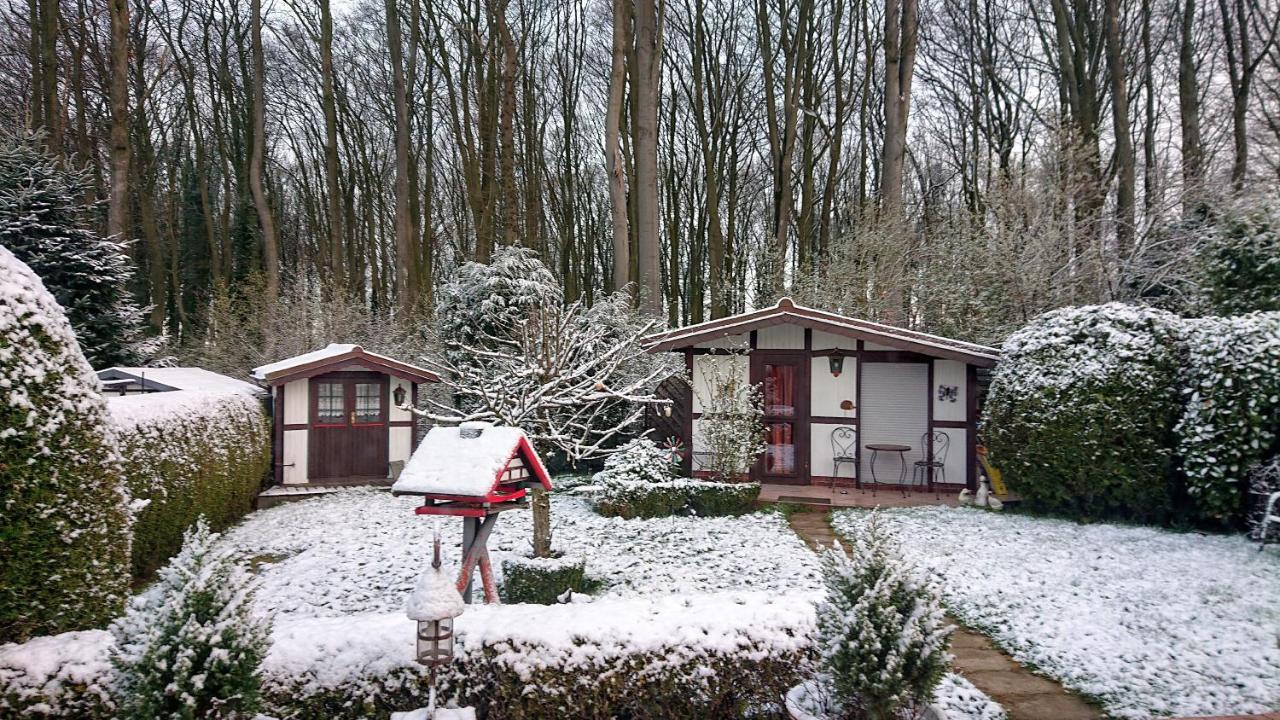 Haus Im Grunen Villa Billerbeck Luaran gambar